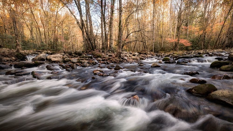 Picture of RIVERS FORK