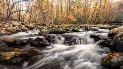 Picture of AUTUMN AT PORTERS CREEK