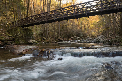 Picture of BRIDGE TO AUTUMN I