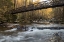 Picture of BRIDGE TO AUTUMN I