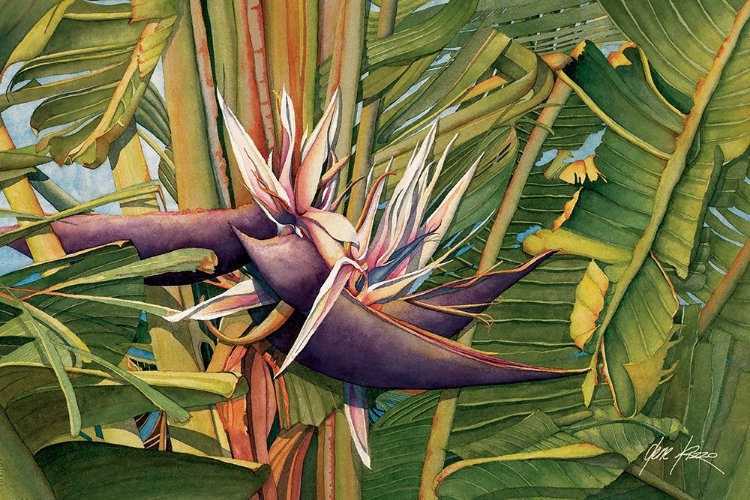 Picture of BIRD OF PARADISE