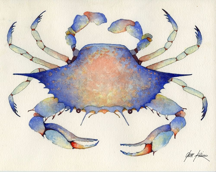 Picture of BLUE CRAB