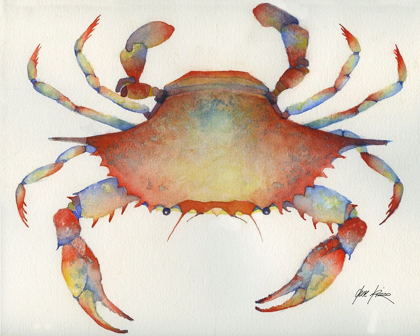 Picture of RED CRAB