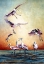 Picture of FLYING ROSEATES