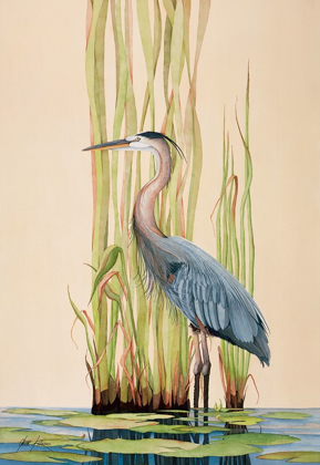 Picture of GREAT BLUE HERON