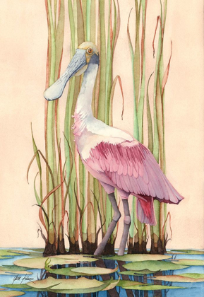Picture of ROSEATE SPOONBILL