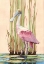 Picture of ROSEATE SPOONBILL