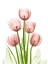 Picture of CORAL TULIP TOWER H27