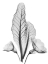 Picture of PRINULA