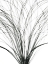 Picture of FRAYED SOUL