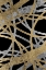 Picture of TRADITIONAL RADIUS 1