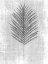 Picture of TONE ON TONE PALM 2