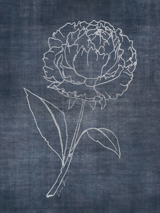 Picture of WHITE PEONY ON NAVY 1