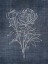Picture of WHITE PEONY ON NAVY 2