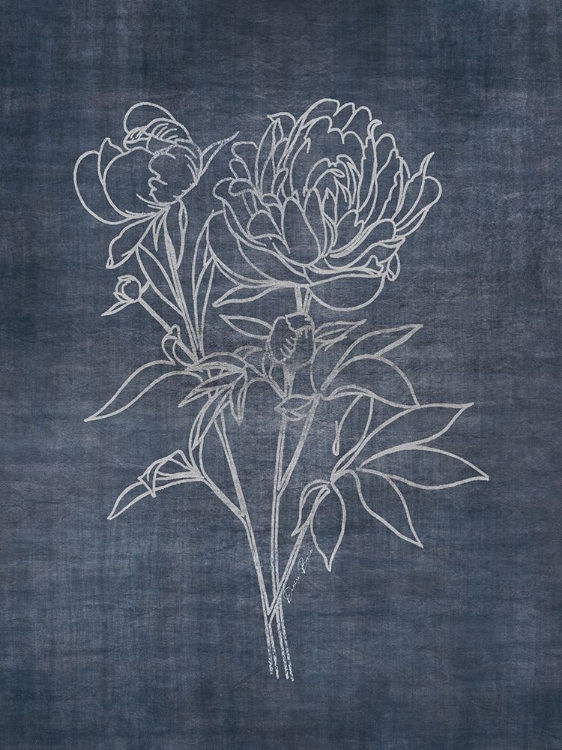 Picture of WHITE PEONY ON NAVY 2