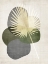 Picture of CABANA PALM 1