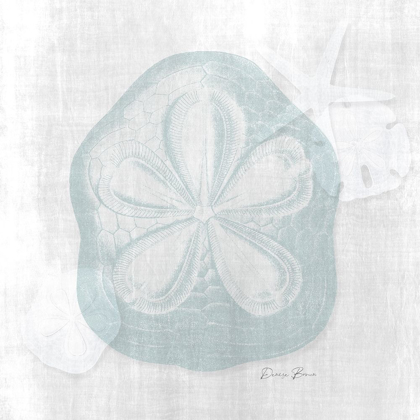 Picture of SAND DOLLAR 2