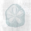 Picture of SAND DOLLAR 2