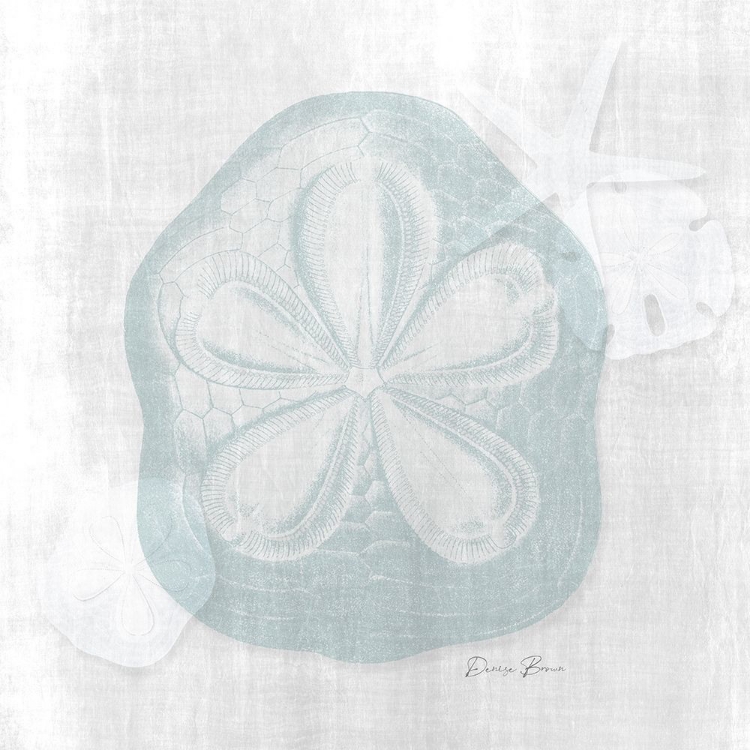 Picture of SAND DOLLAR 2