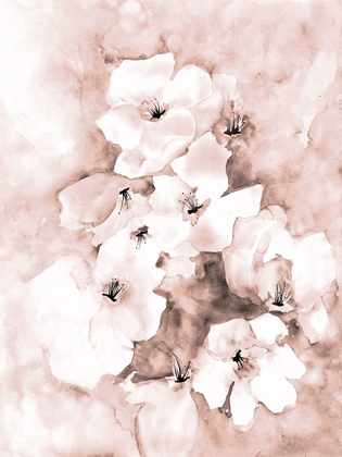 Picture of SOFT FLORALS 1
