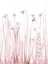 Picture of SOFT BLOOMS 1