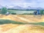 Picture of FARMLAND BEAUTY 1