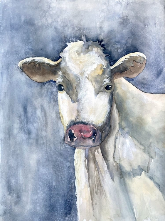 Picture of PROUD CATTLE 1