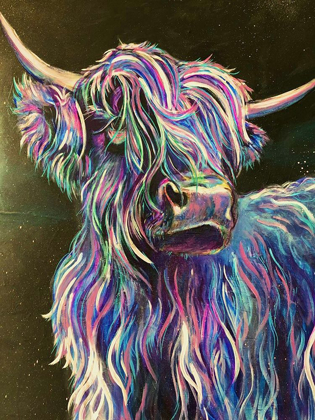 Picture of HIGHLAND COW