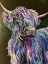 Picture of HIGHLAND COW