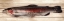 Picture of TROUT 2