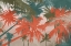 Picture of COLORFUL PALM
