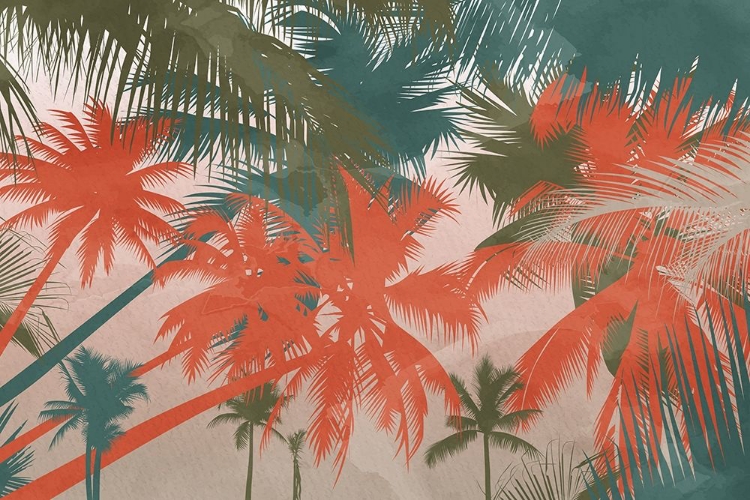 Picture of COLORFUL PALM
