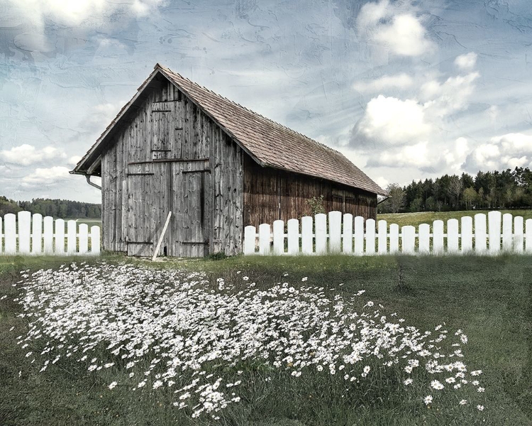 Picture of WHITE FENCE