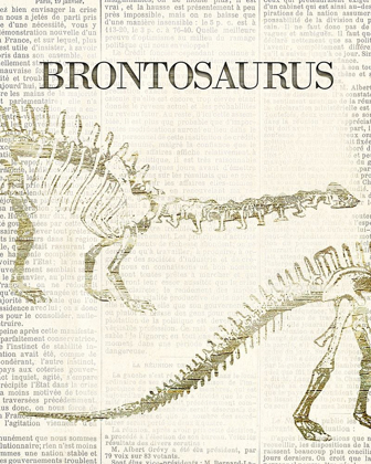 Picture of BRONTOSAURUS