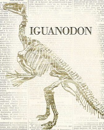 Picture of IGUANODON