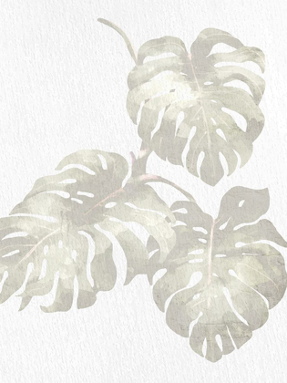 Picture of NEUTRAL PALM 2