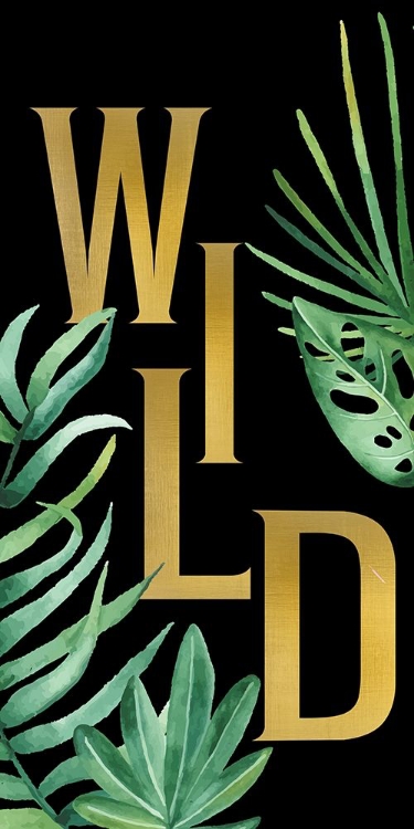 Picture of WILD 1
