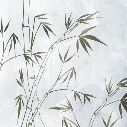 Picture of BAMBOO 1