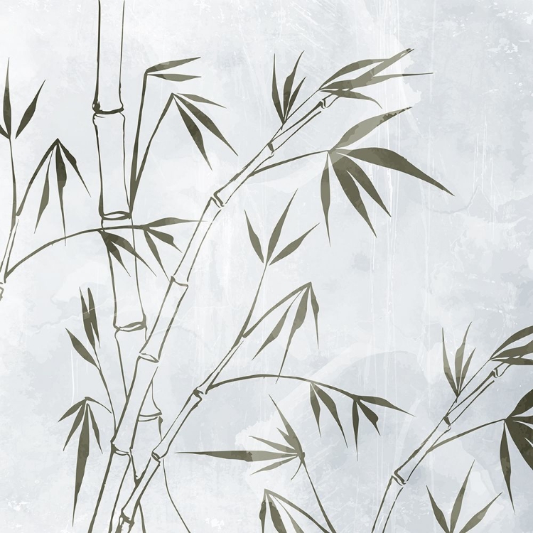 Picture of BAMBOO 1