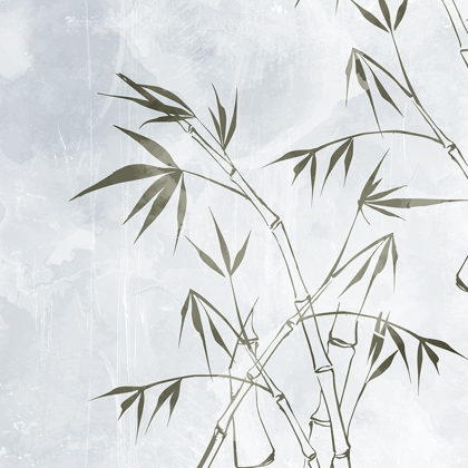 Picture of BAMBOO 2