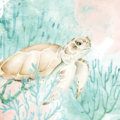 Picture of SEA TURTLE SWIM 2