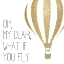 Picture of YOU WILL FLY 2