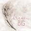 Picture of DREAM FREE 1