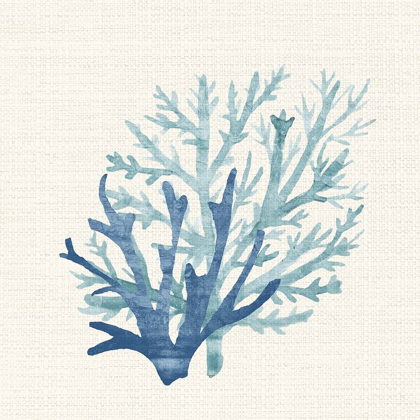 Picture of CORAL SHADES 2