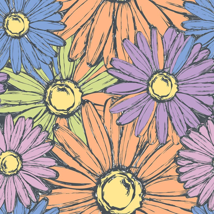 Picture of DAISY POWER