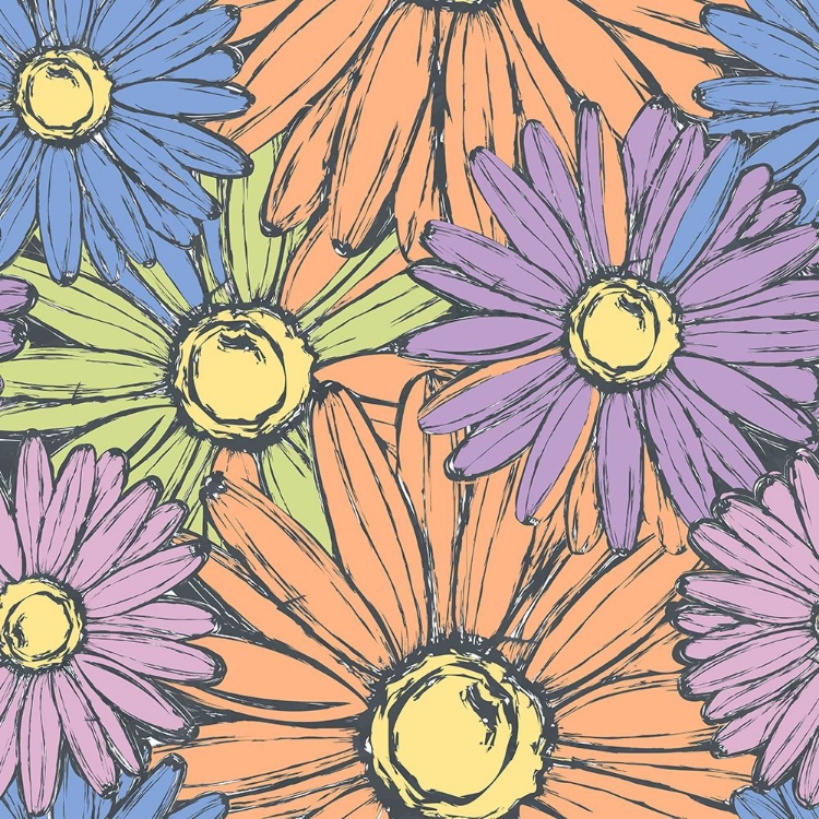 Picture of DAISY POWER