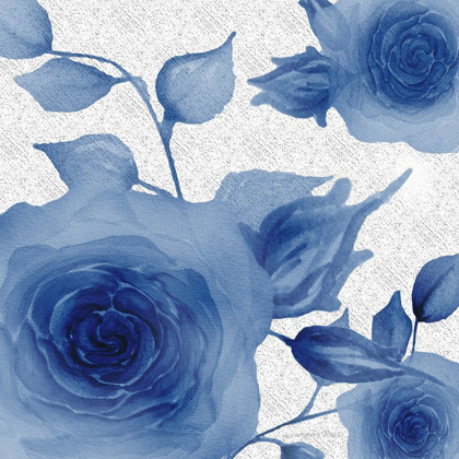 Picture of BLUE ROSE 1