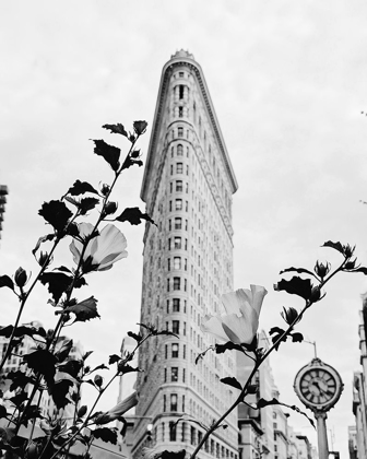 Picture of NYC FLATIRON