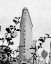 Picture of NYC FLATIRON