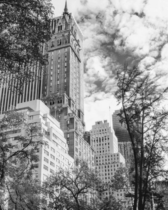 Picture of NYC PARK AVE